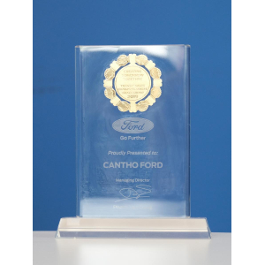 VII. Thành tích đạt được